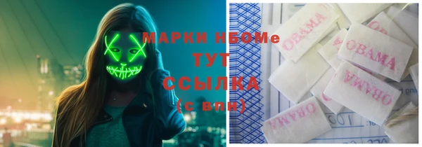 ПСИЛОЦИБИНОВЫЕ ГРИБЫ Осташков