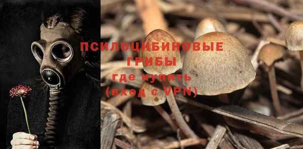 каннабис Алзамай