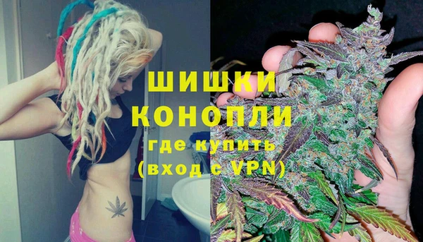 спайс Алексин
