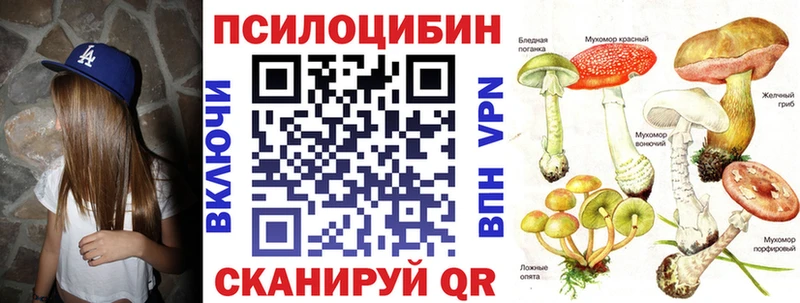 кракен рабочий сайт  купить закладку  Саянск  Псилоцибиновые грибы Magic Shrooms 